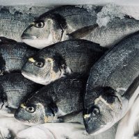 Wild Fish vs. Farm-raised Fish: How To Find The Good Stuff
